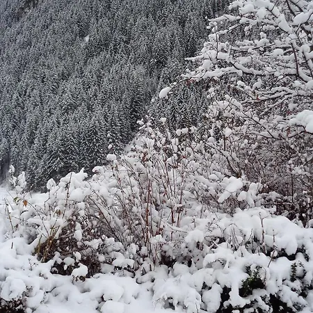 Garni Petter 4*
