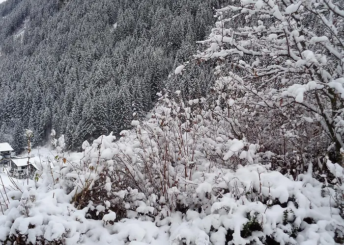 Garni Petter 4*
