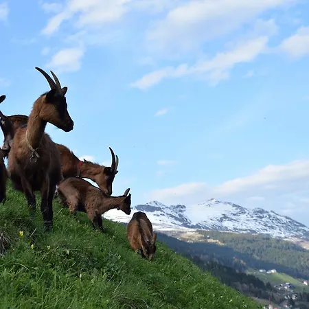 Garni Petter Kappl (Landeck)